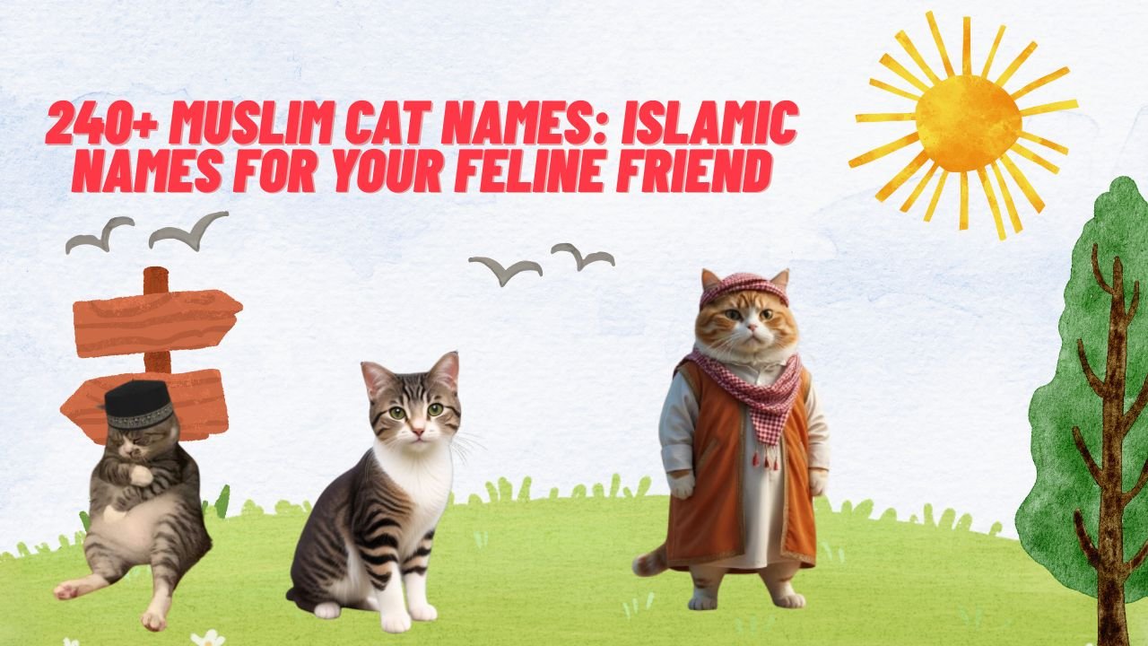 240+ Muslim Cat Names: Islamic Names for Your Feline Friend