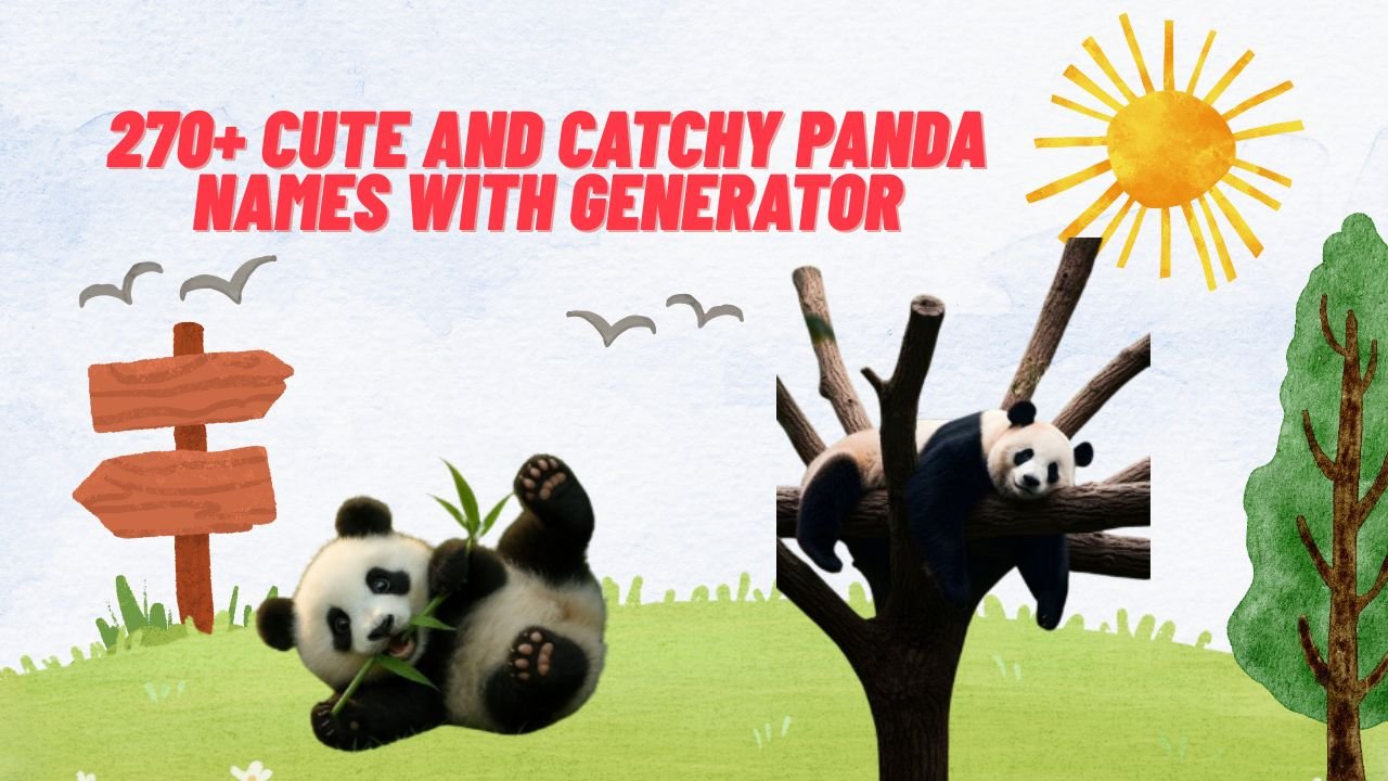 270+ Cute And Catchy Panda Names With Generator