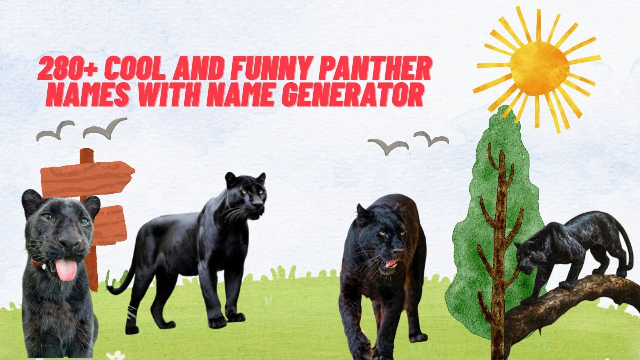 280+ Cool And Funny Panther Names With Name Generator