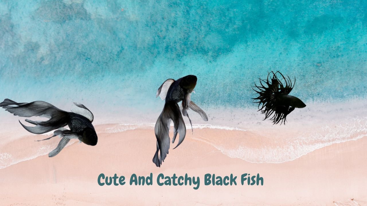 280+ Cute And Catchy Black Fish Names With Name Generator