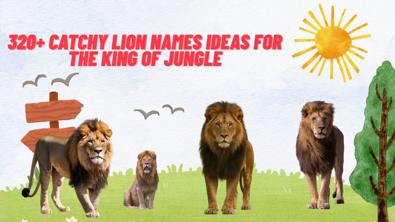 320+ Catchy Lion Names Ideas For The King Of Jungle