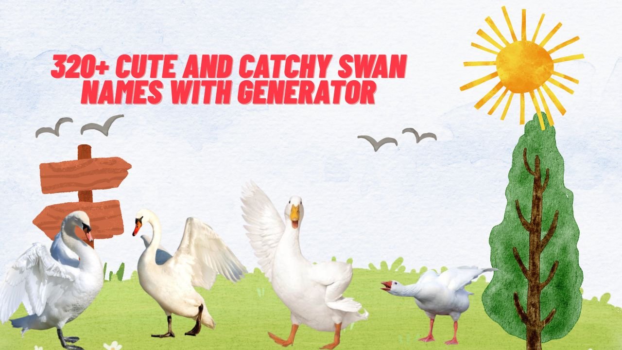 320+ Cute And Catchy Swan Names With Generator