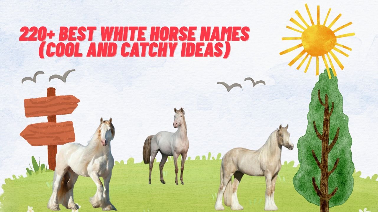 220+ Best White Horse Names (Cool And Catchy Ideas)