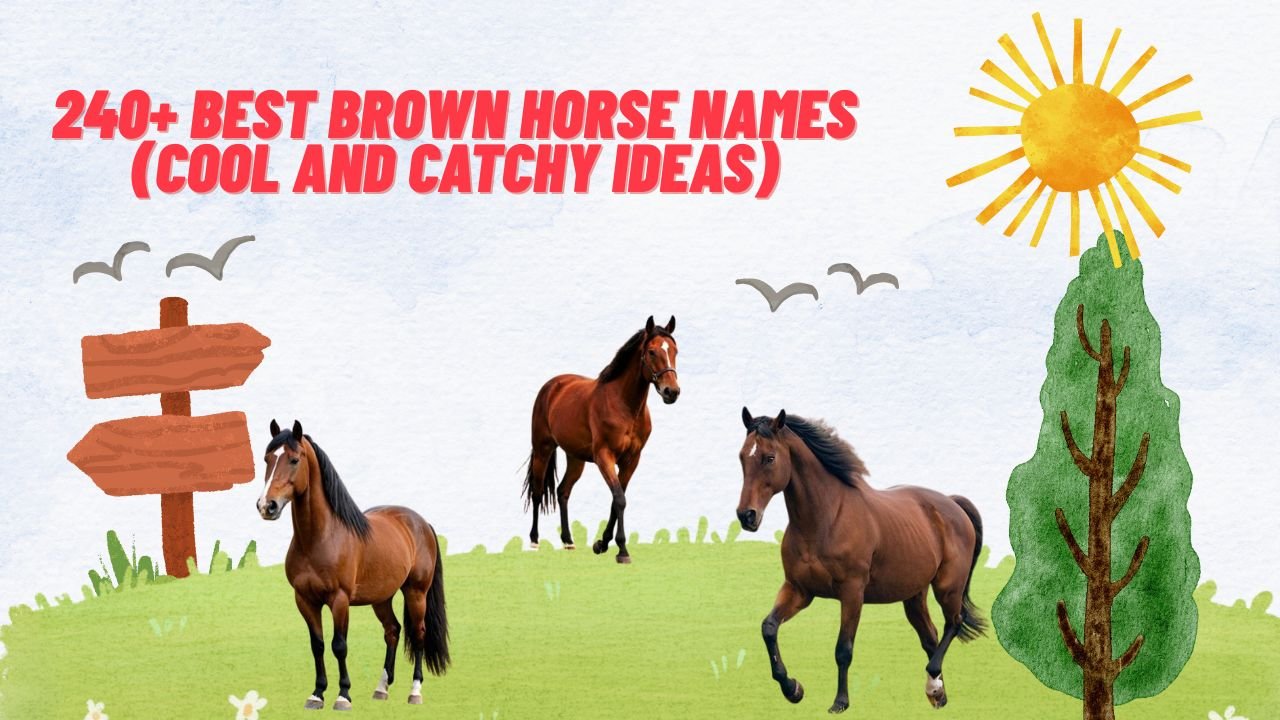 240+ Best Brown Horse Names (Cool And Catchy Ideas)