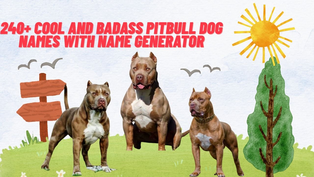 240+ Cool And Badass Pitbull Dog Names With Name Generator