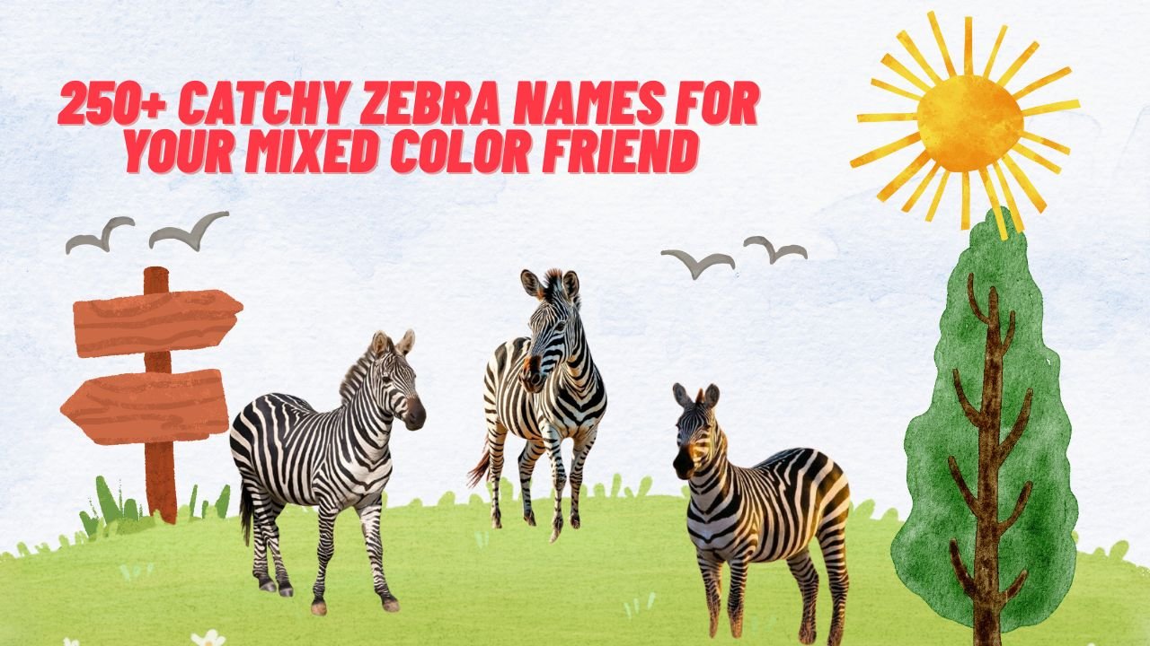 250+ Catchy Zebra Names For Your Mixed Color Friend