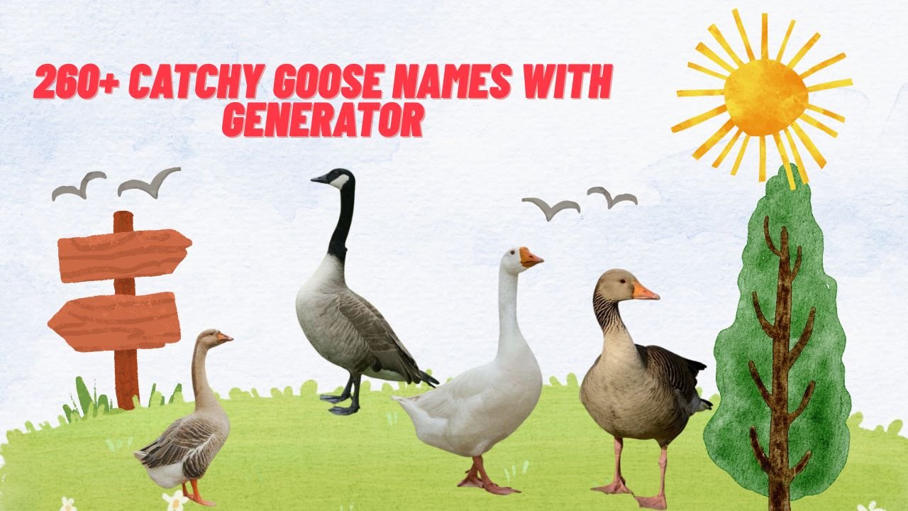 260+ Catchy Goose Names With Generator