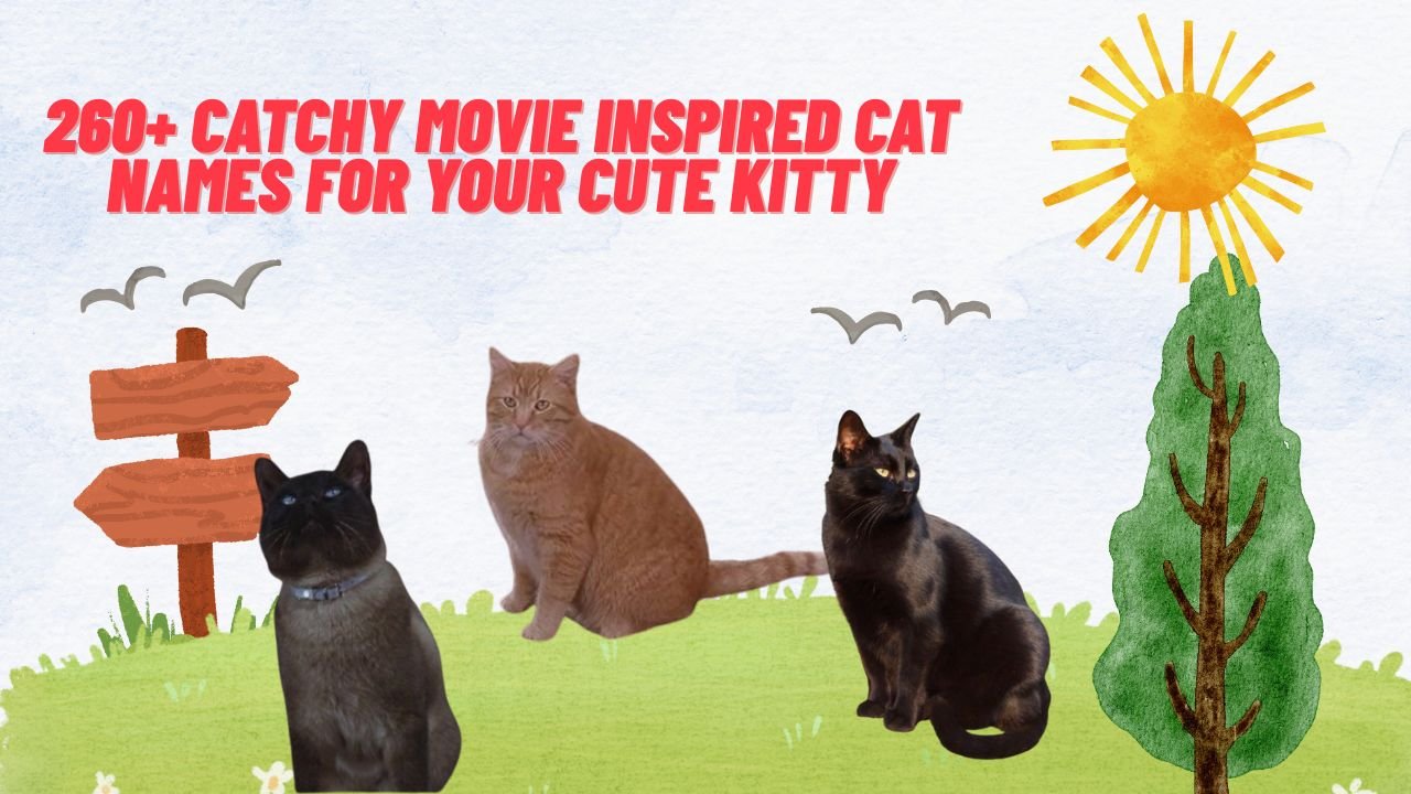 260+ Catchy Movie Inspired Cat Names For Your Cute Kitty