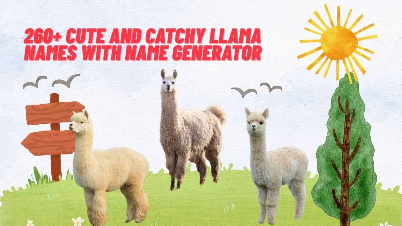 260+ Cute And Catchy Llama Names With Name Generator