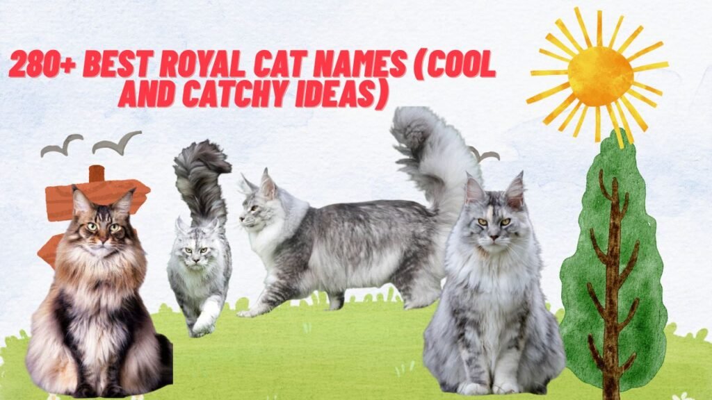 280+ Best Royal Cat Names (Cool And Catchy Ideas)
