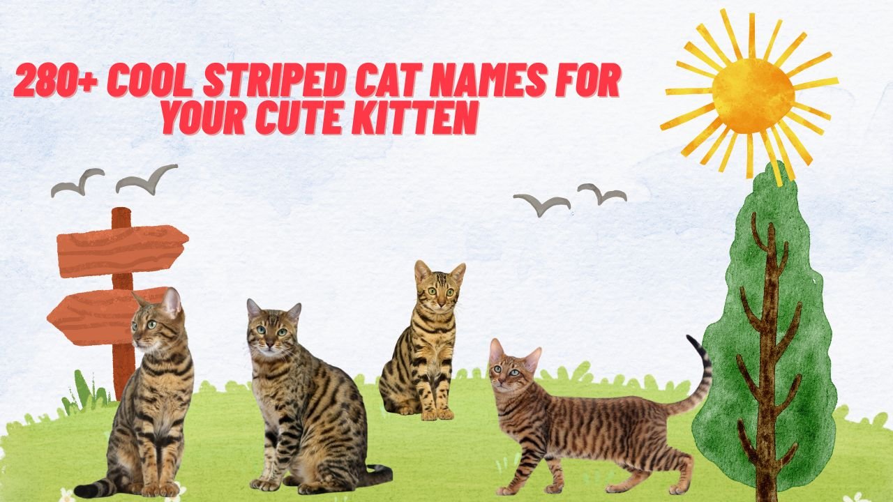 280+ Cool Striped Cat Names For Your Cute Kitten