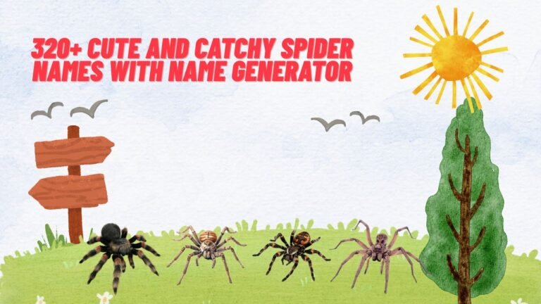320+ Cute And Catchy Spider Names With Name Generator