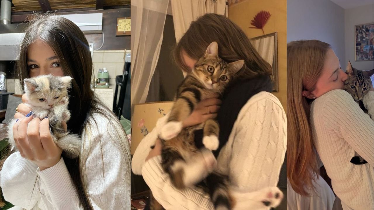 320+ Cute Girl Cat Names (Cool And Catchy Ideas)