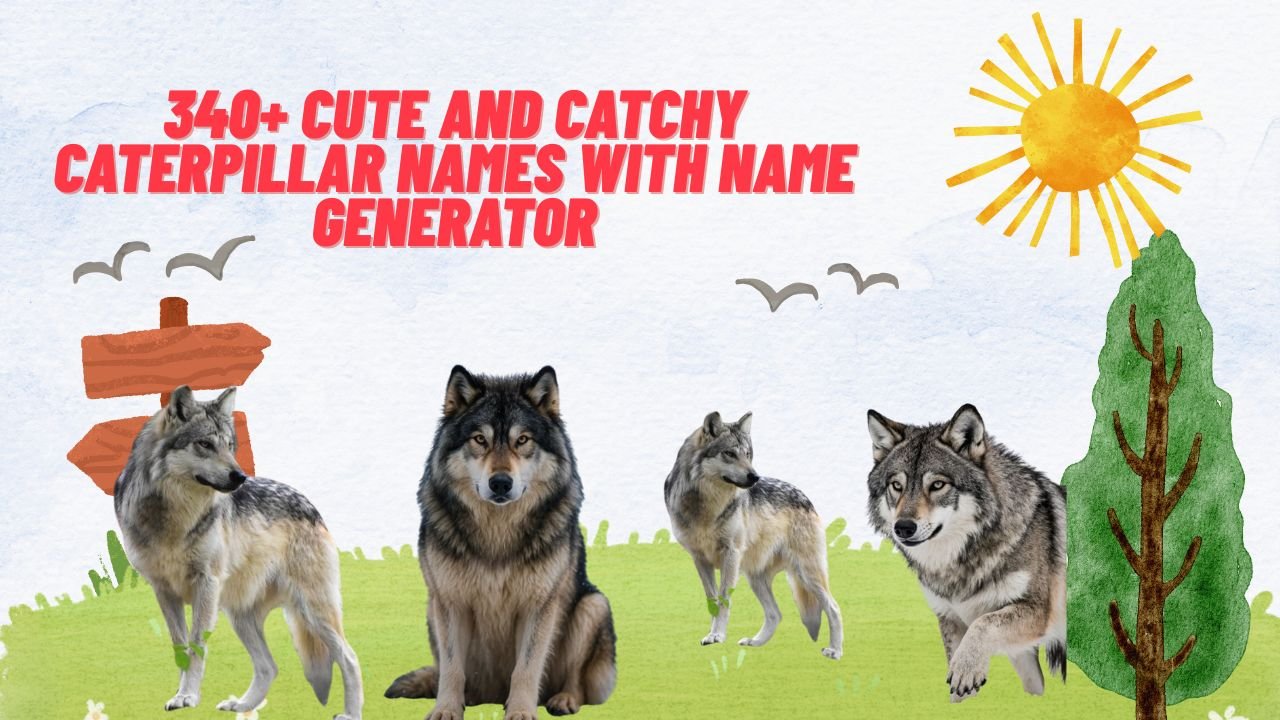 340+ Cool And Badass Wolf Names With Name Generator