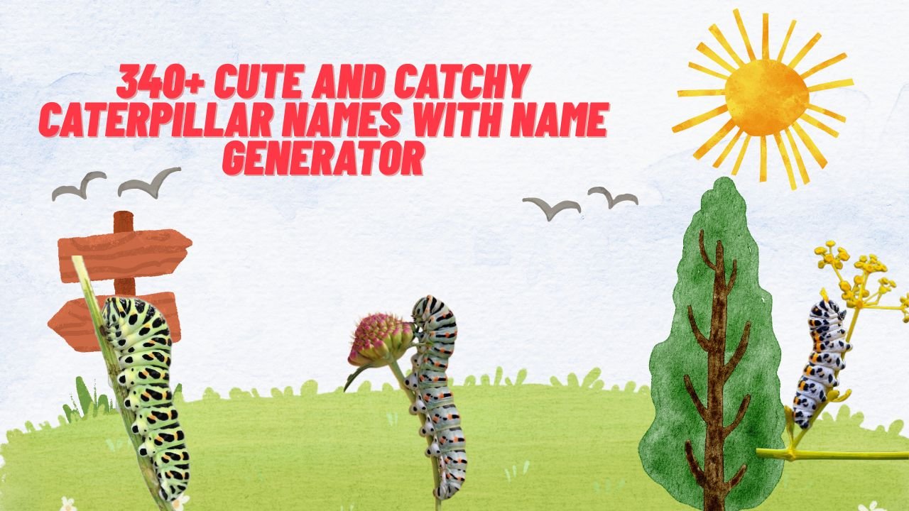 340+ Cute And Catchy Caterpillar Names With Name Generator