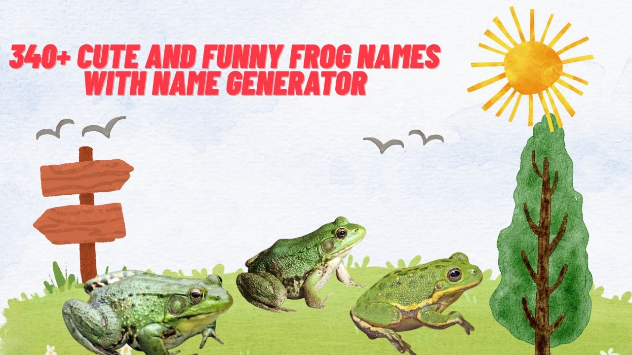 340+ Cute And Funny Frog Names With Name Generator