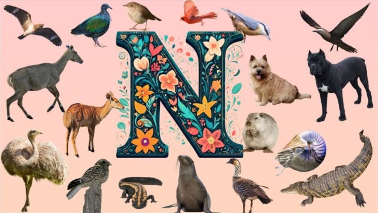 Animals Starting With N: Discover Notable Creatures