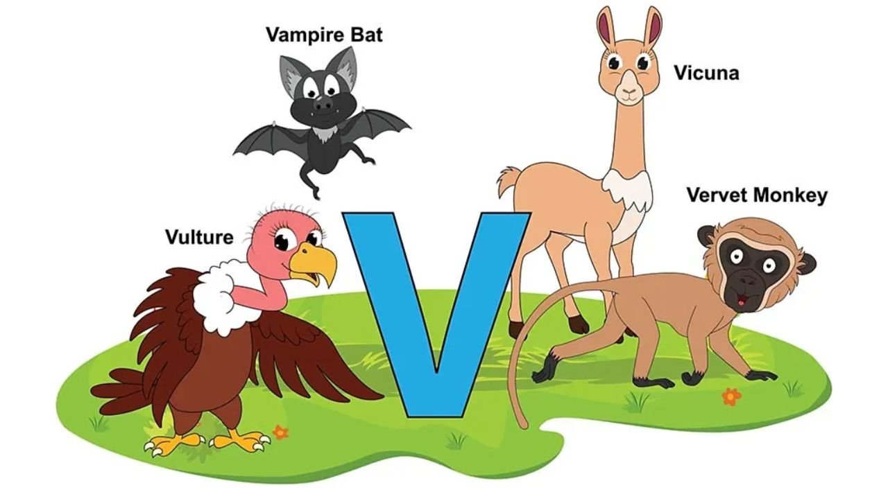 Animals Starting With V: Very Adorable Creatures