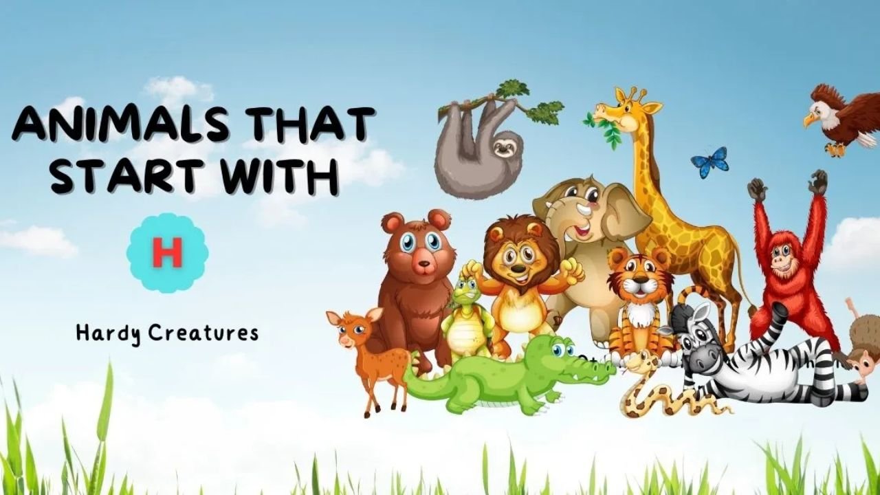 Animals That Start With H: Hardy Creatures