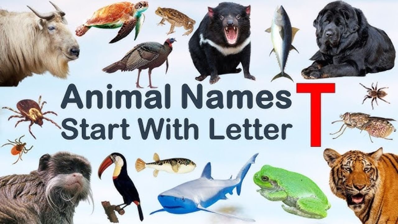 Animals That Start With T: Unique Animal Names