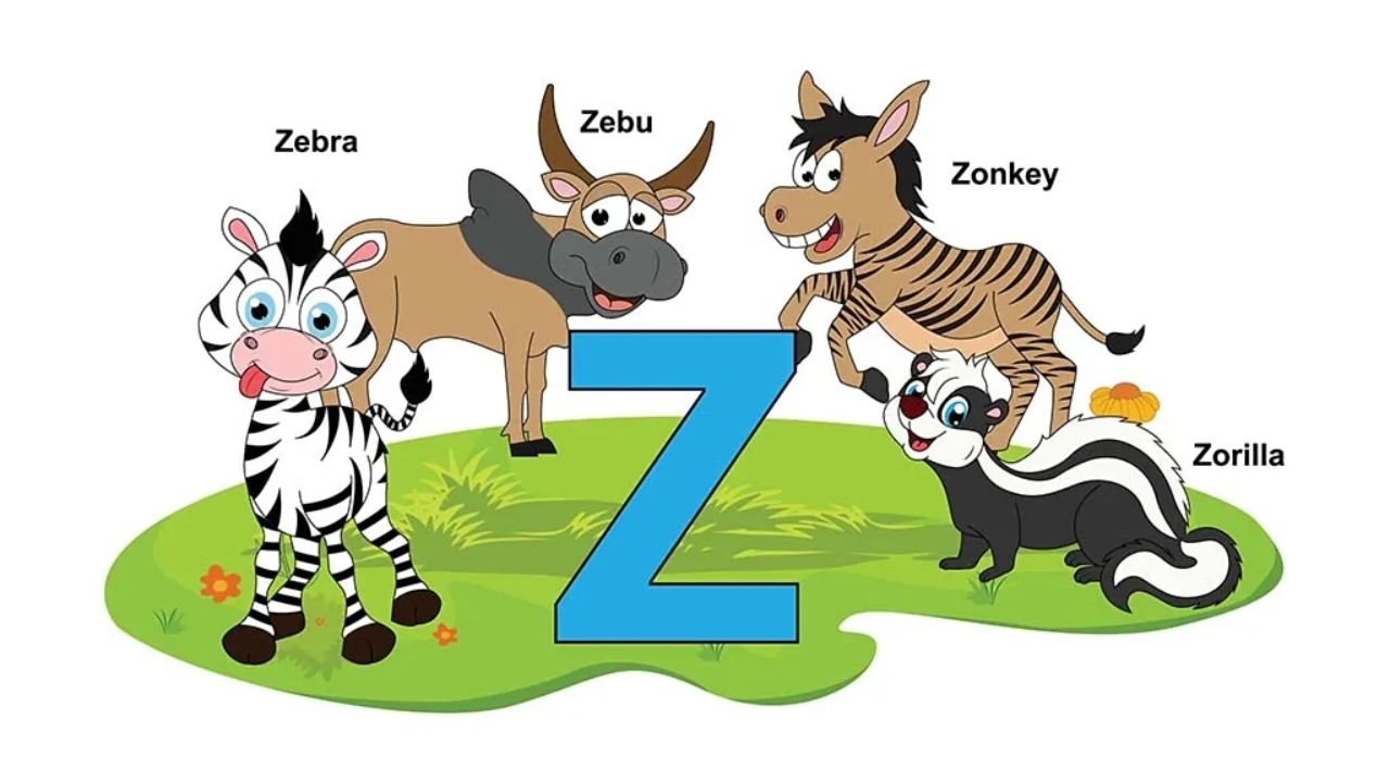 Animals That Start With Z: Zebra, Zorilla & More