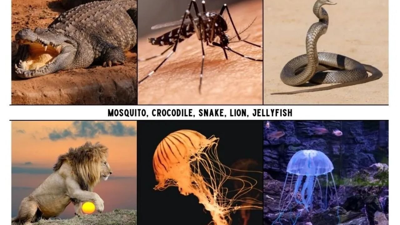 Top 100+ Deadliest Animals in the World – Ranked List