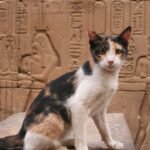 223+ Cool Egyptian Cat Names For Your Royal Kitty